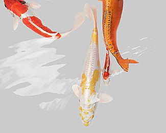 《Deadlock》在线峰值达到16万 谜之仅限邀请测试